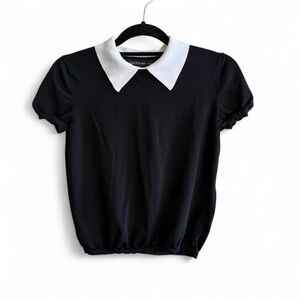 Josephine Chaus Short Sleeve Black and White Collar Shirt Size Small